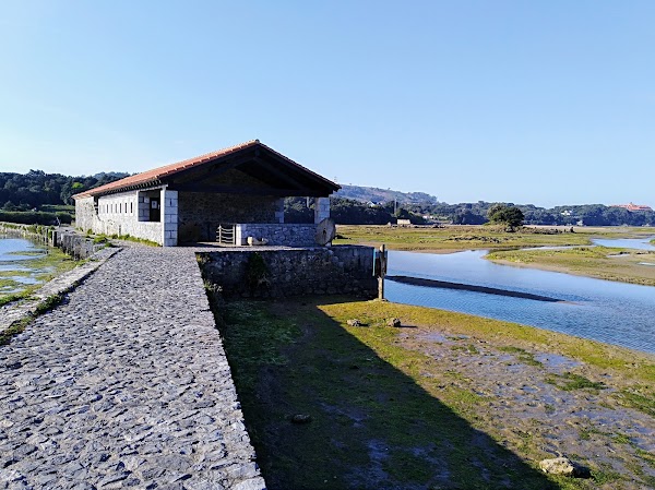 Santa Olaja mill