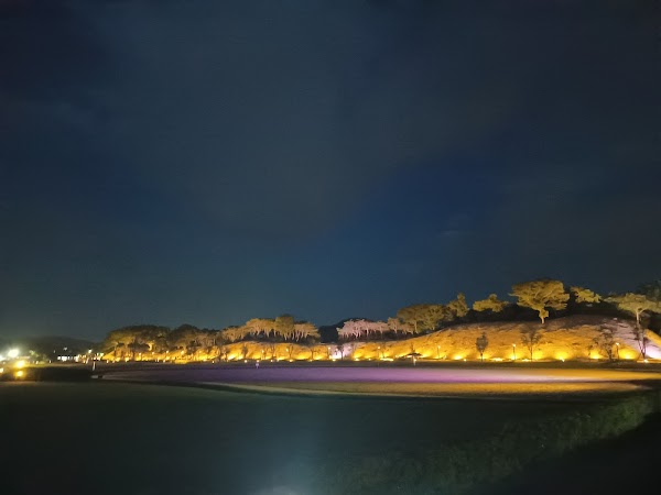 Gyeongju Historic Site Wolseong District 4