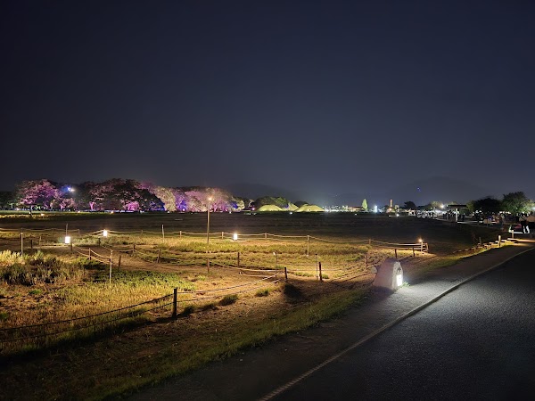 Gyeongju Historic Site Wolseong District 3