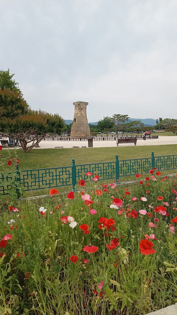 Gyeongju Historic Site Wolseong District 2