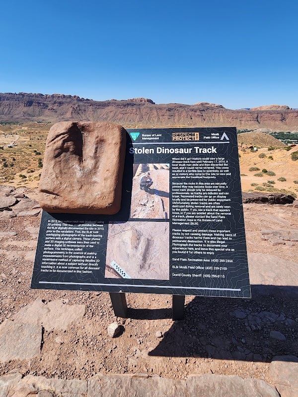 Dinosaur Tracks