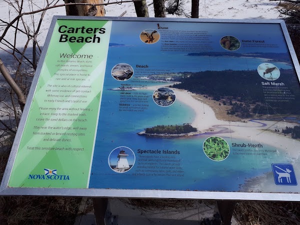 Carters Beach 5