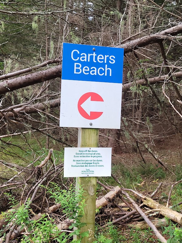 Carters Beach 3