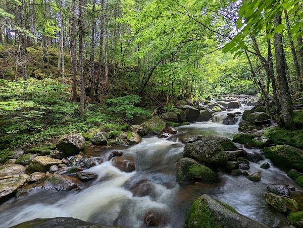 Parc national de la Jacques-Cartier 2