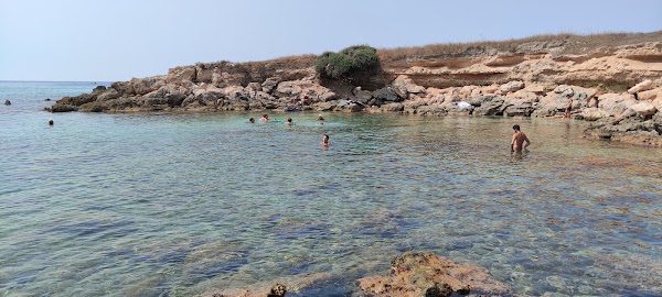 Pulsano 1