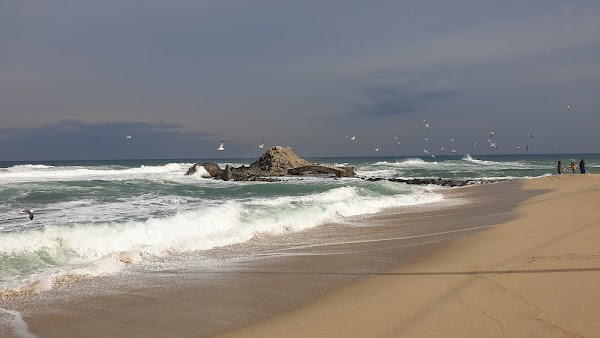 사천진해수욕장 4
