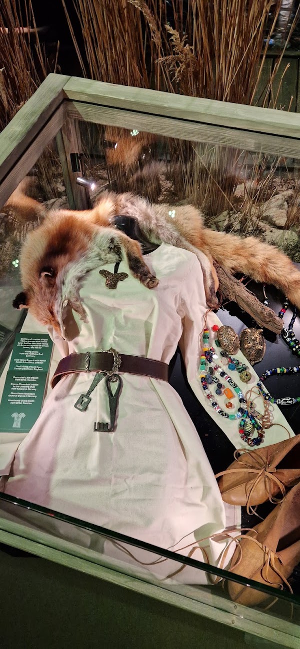 Vikings: The Immersive Experience - London 5