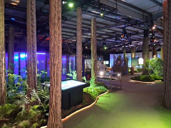 Vikings: The Immersive Experience - London 3
