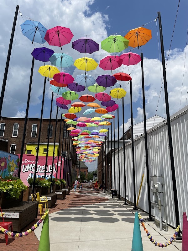 Umbrella Alley 1