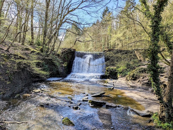 Wepre Park