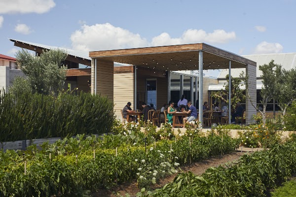 Coogee Common 3