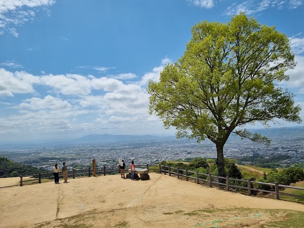 Wakakusayama Hill 4