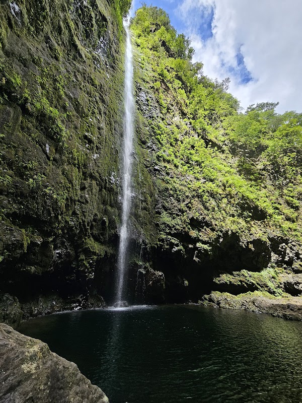 Parque Florestal das Queimadas 4