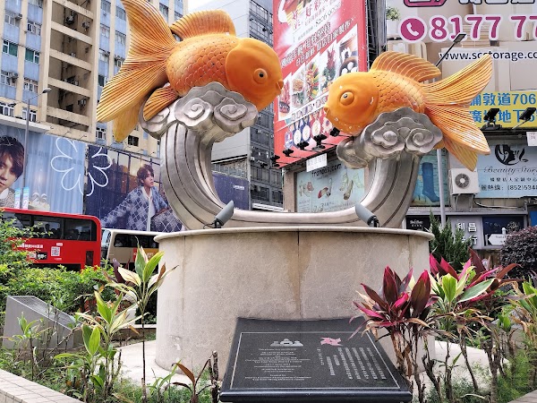 Goldfish Street 3