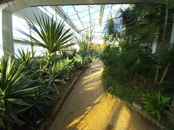 Insect Garden