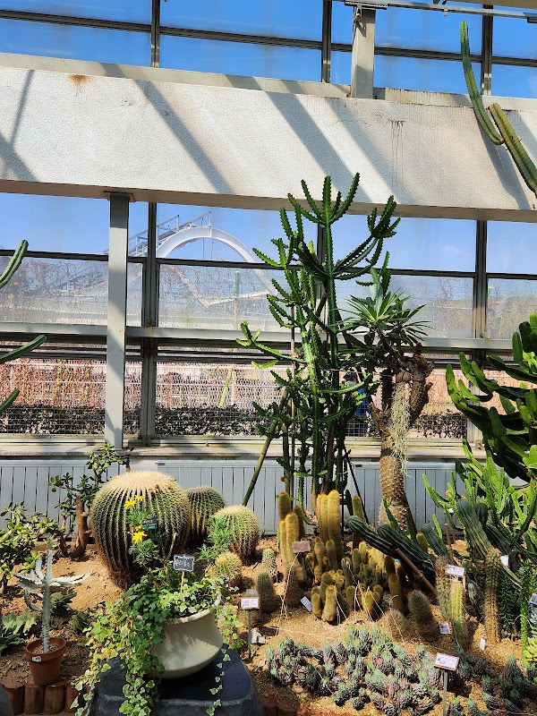 Insect Garden 3