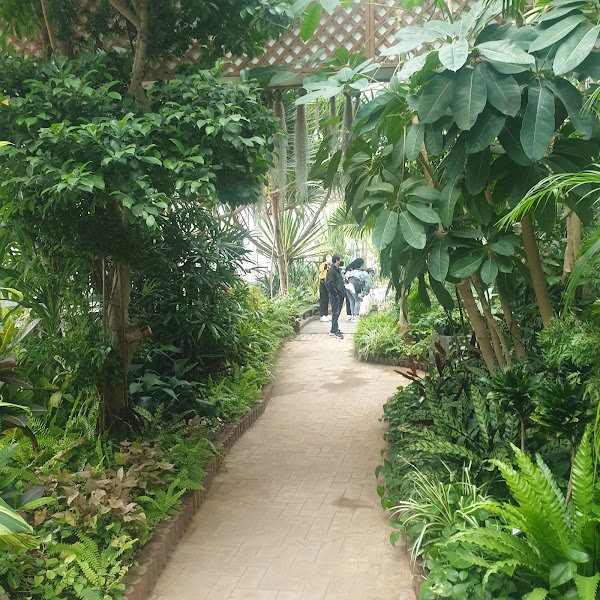 Insect Garden 2