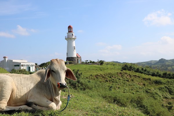 Rakuh A Payaman (Marlboro Country) 4