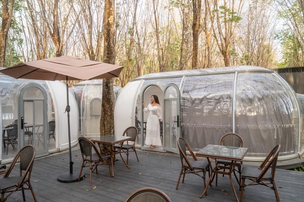 Timber Society - Private Pool Glamping
