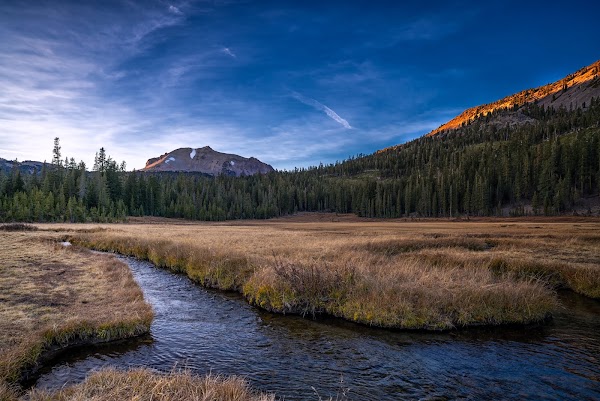 Upper Kings Creek Meadow 1