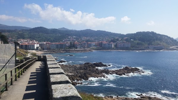 Baiona 4