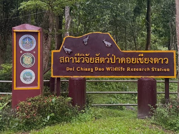 Doi Chiang Dao Wildlife Research Station
