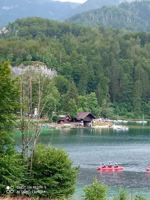 Municipality of Bohinj 5