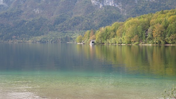 Municipality of Bohinj 2
