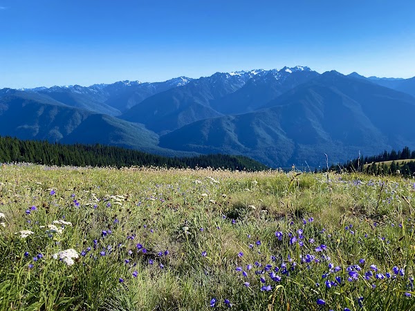 Hurricane Hill Trailhead
