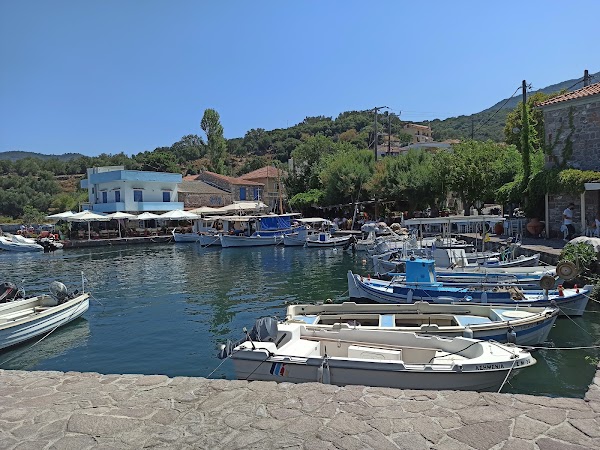 Skala Sikamineas 1