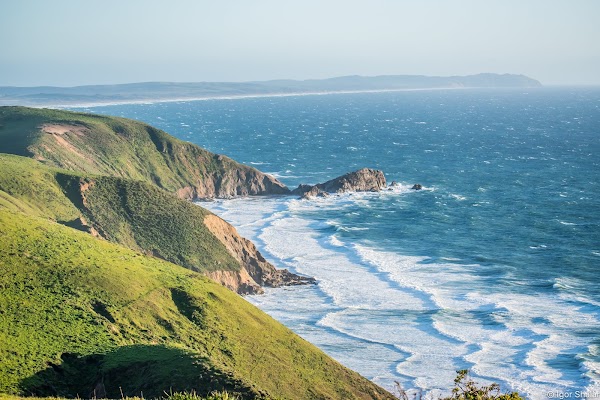 Tomales Point Trailhead