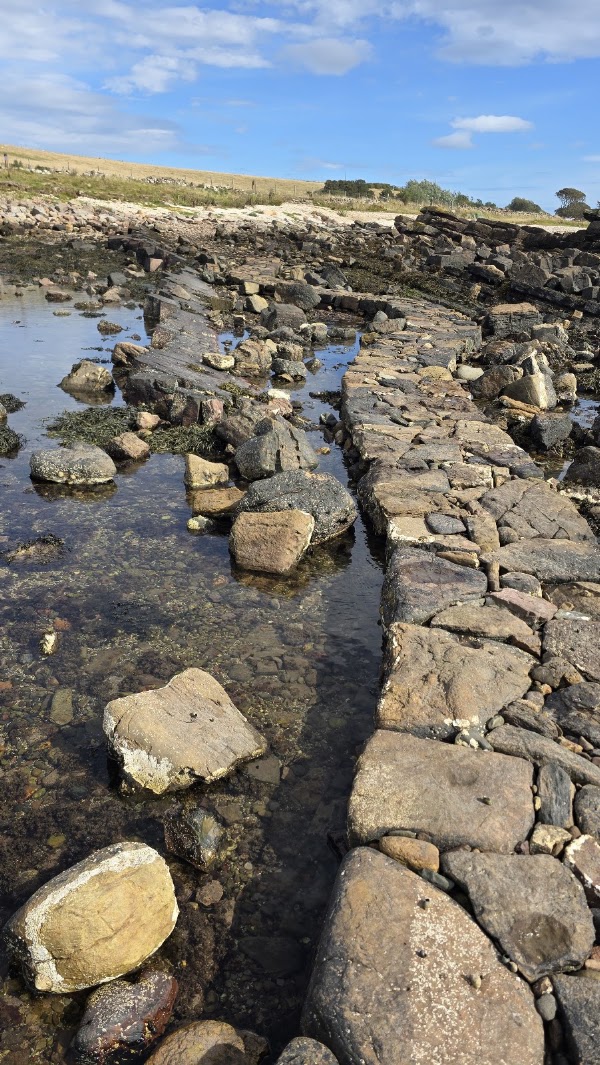Tide Line Cellardyke 1