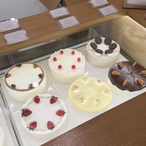 HARUCAKE 4
