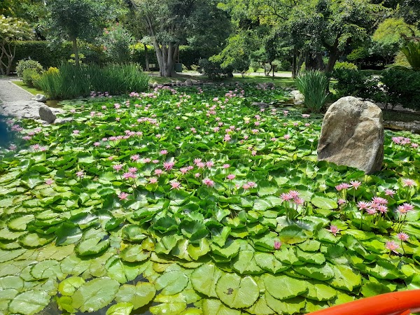 Japonés de Escobar Garden