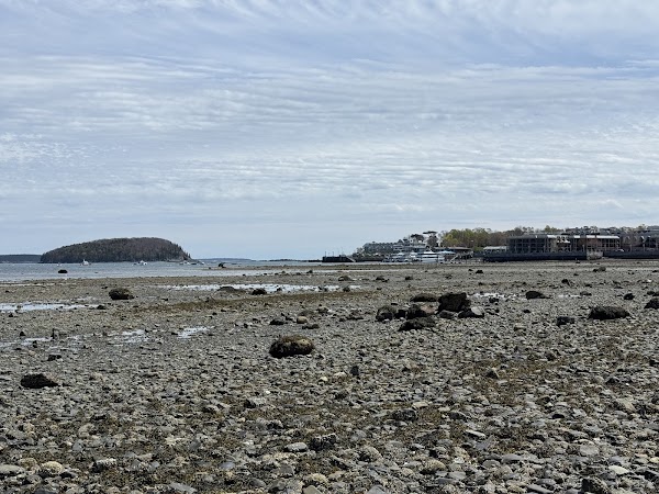 Bar Island 5