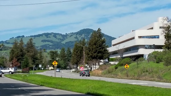 Novato 1