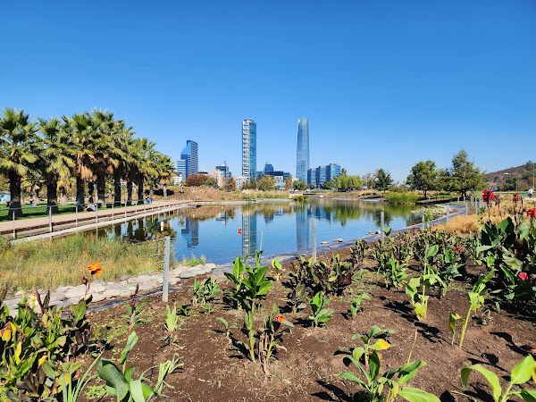 Parque Bicentenario 5