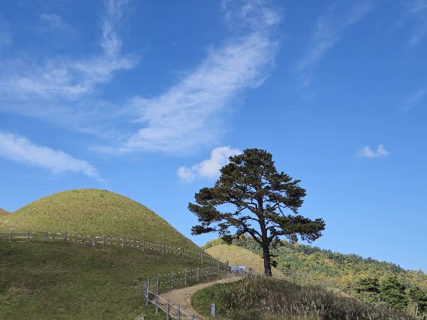 Ancient Tombs in Jisan-dong, Goryeong 3