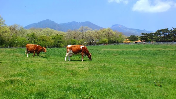 Minamigaoka Dairy