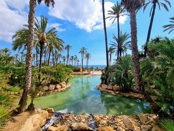 Parc El Palmerar