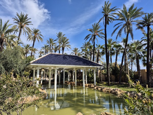 Parc El Palmerar 4