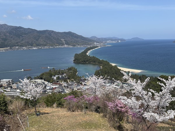 Cherry blossom tunnel 4