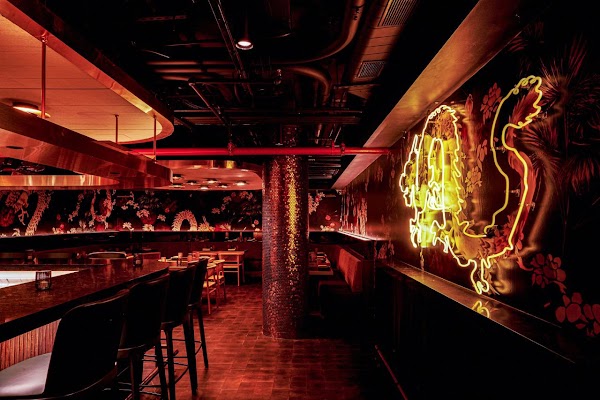Planta Queen