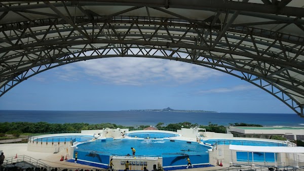 Ocean Expo Park 5