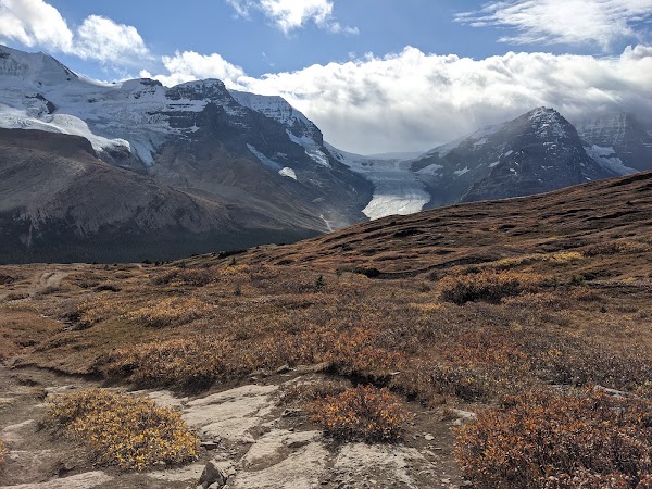 Wilcox Pass Trail