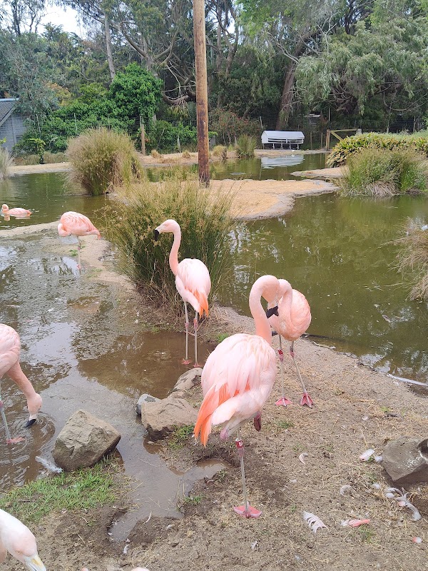 San Francisco Zoo 5