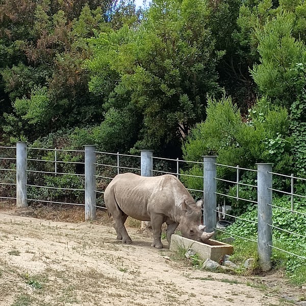 San Francisco Zoo 4