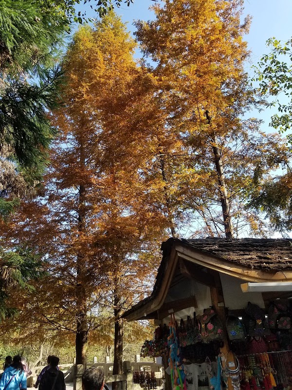 Yuanjiajie 3