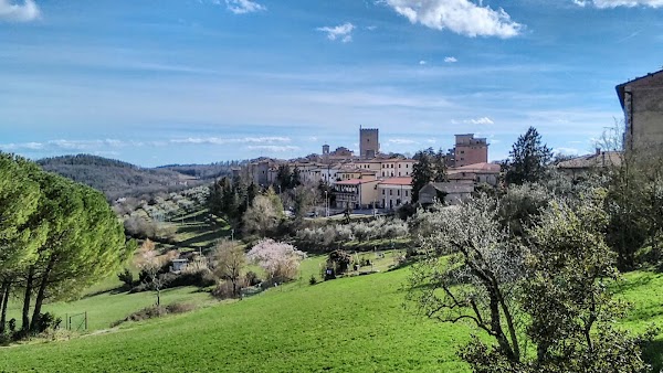 Castellina in Chianti 5