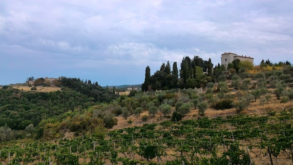 Castellina in Chianti 4